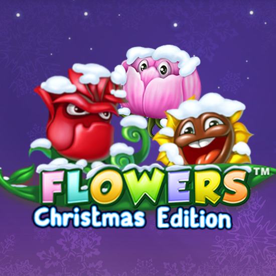 Flowers christmas edition
