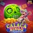 Calaca Bingo